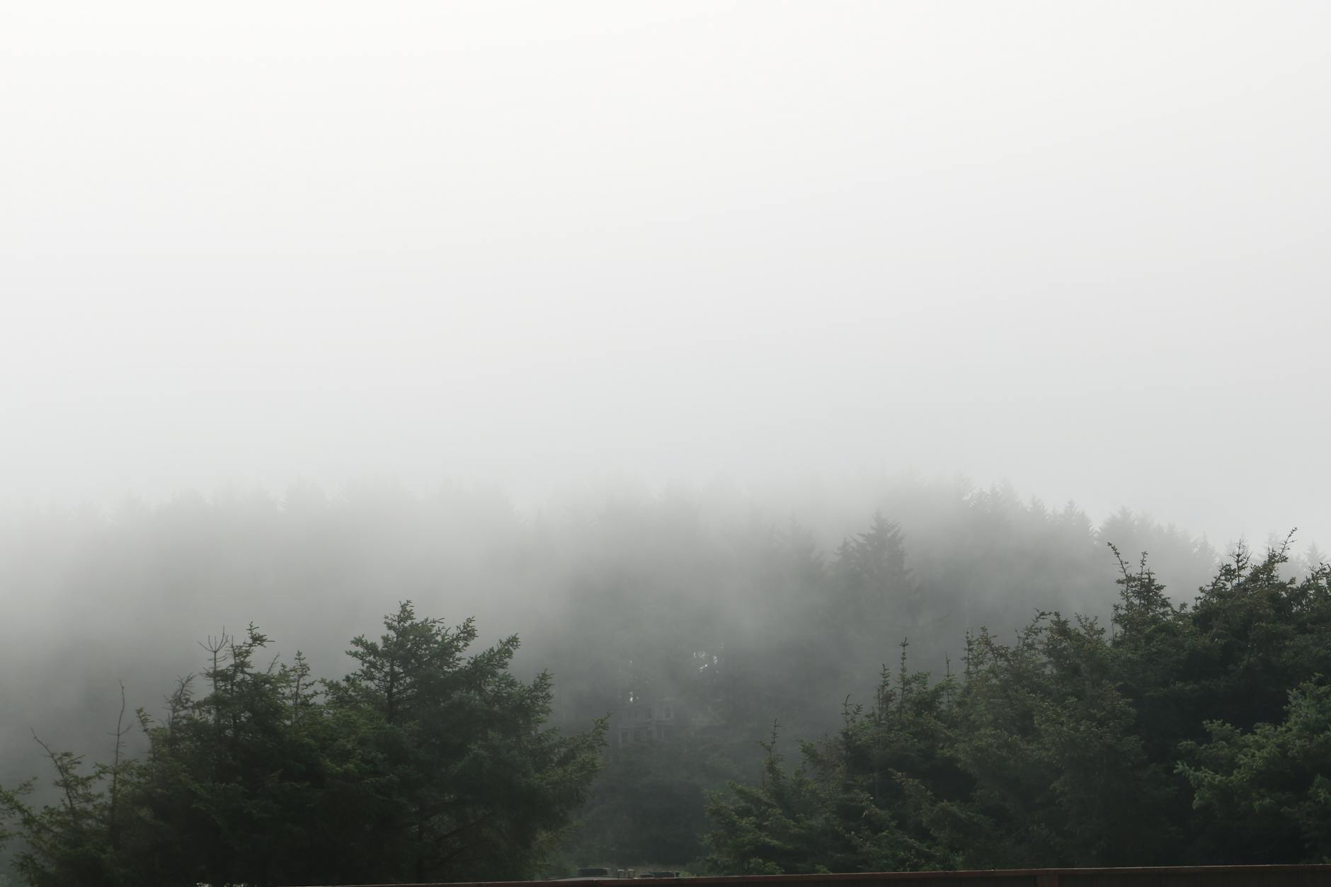 what-causes-brain-fog